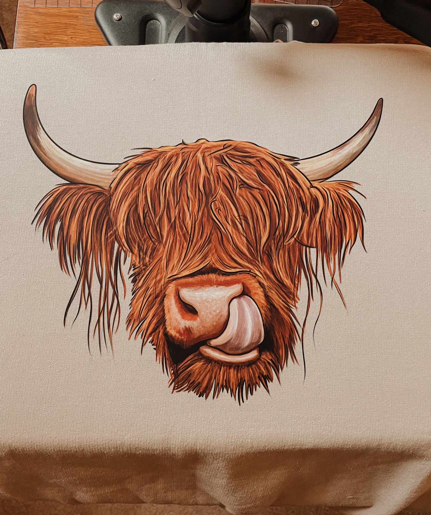 Highland Cow